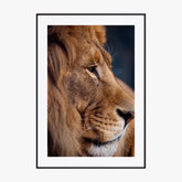 Tableau Lion Couleur