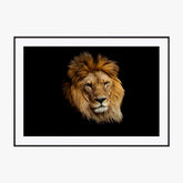 Tableau Lion couleur 4